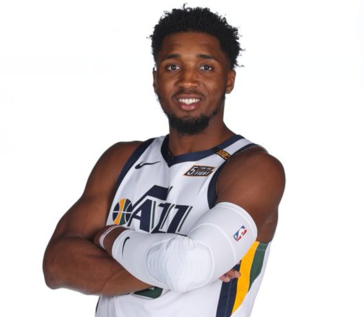 制衡机制的 制衡机制的